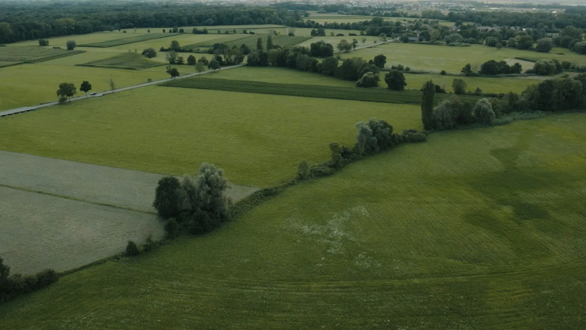 Vista aérea de parcelas de campo verde