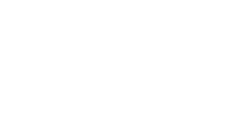 Black River Properties